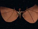 gargoyl1.jpg (8168 bytes)